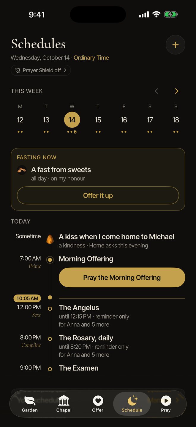 The Schedule: a fast from sweets, a kindness for Michael, the Morning Offering at 7, the Angelus at noon, the Rosary at 8 and the Examen at 9